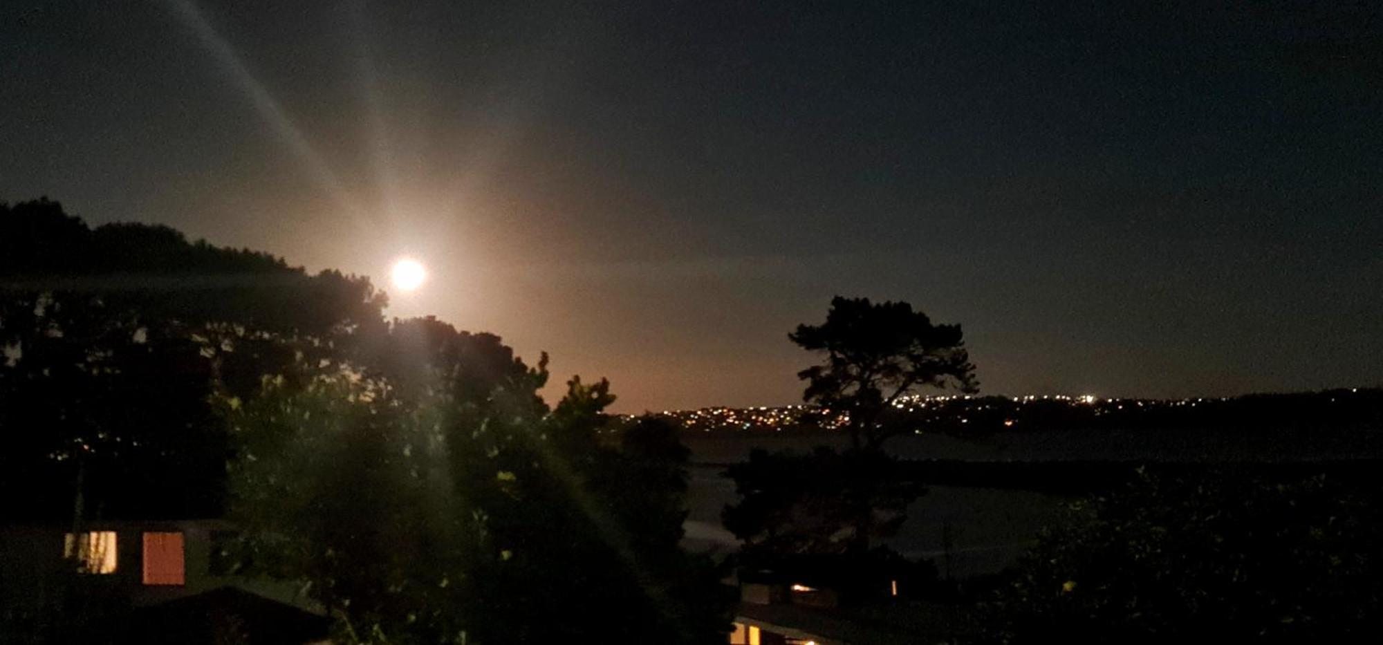 Auckland Sea&Skytower View Homestay With Free Netflix, Parking Eksteriør billede